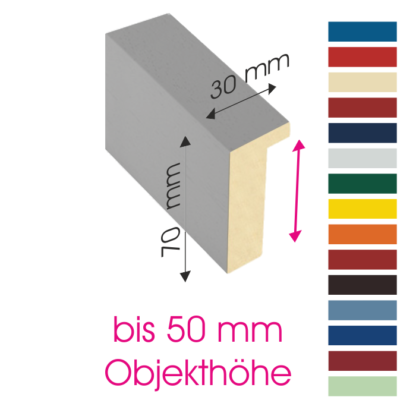 Objektrahmen farbig Profil 50 mm